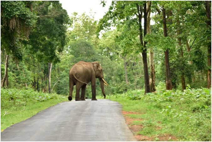 Kathmandu + Pokhara + Chitwan + Bandipur (Nights and 9Days)