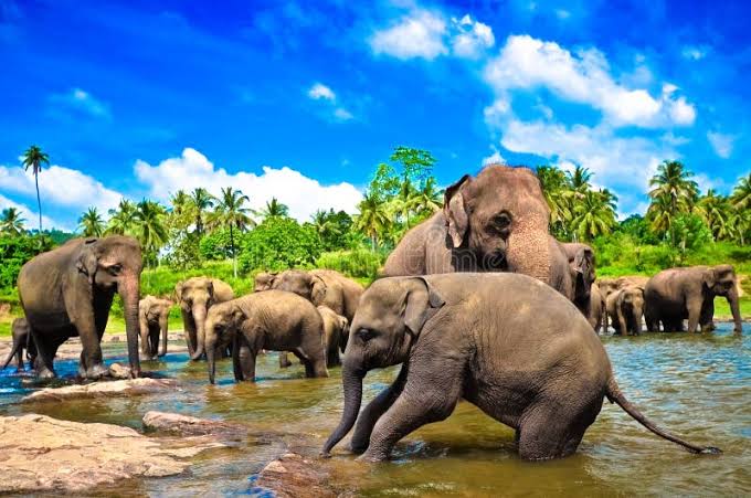 Sri Lanka & Malaysia Tour Itinerary (6 Days / 5 Nights)