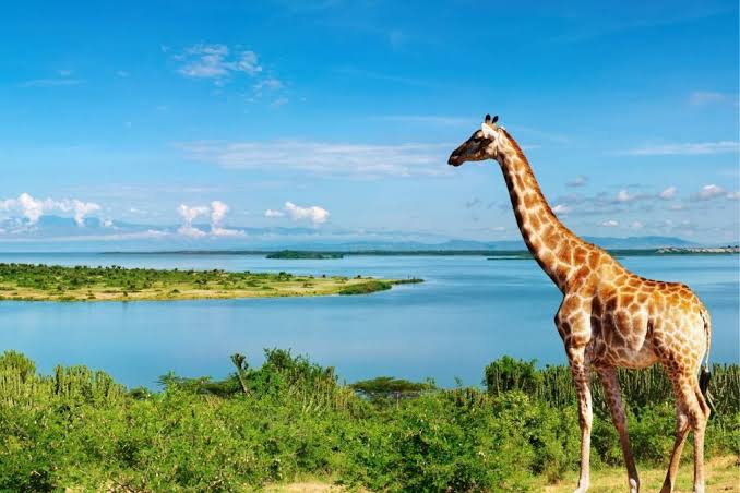 Republic of Uganda